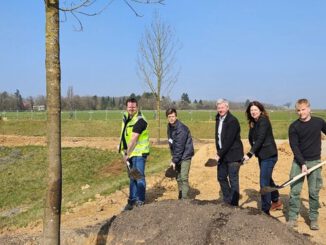 Bierstadt Nord: 83 neue Bäume und zentrale Grünfläche sollen bis Sommer 2026 entstehen