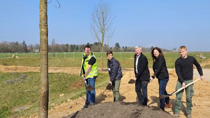 Bierstadt Nord: 83 neue Bäume und zentrale Grünfläche sollen bis Sommer 2026 entstehen