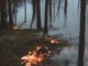 Hessen meldet hohe Waldbrandgefahr und untersagt Nutzfeuer landesweit