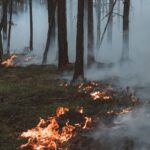 Hohe Waldbrandgefahr sorgt für Verbot an öffentlichen Grillplätzen