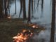 Hohe Waldbrandgefahr sorgt für Verbot an öffentlichen Grillplätzen