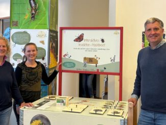 I²-CAMPUS-Infotrail macht Insektenvielfalt in der Mainzer Innenstadt sichtbar