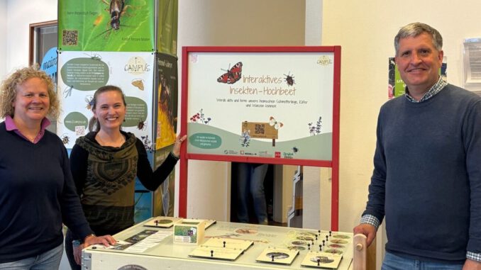 I²-CAMPUS-Infotrail macht Insektenvielfalt in der Mainzer Innenstadt sichtbar I²-CAMPUS-Infotrail macht Insektenvielfalt in der Mainzer Innenstadt sichtbar