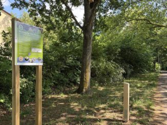 Neue Route in Mainz-Mombach führt zu Nisthilfen für Vögel, Fledermäuse und Bilche