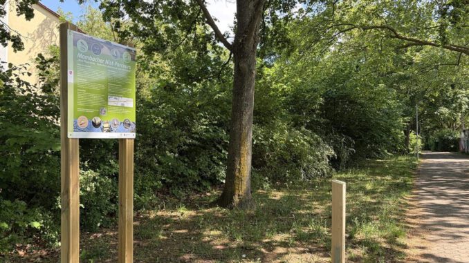 Neue Route in Mainz-Mombach führt zu Nisthilfen für Vögel, Fledermäuse und Bilche