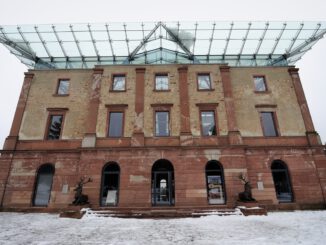 Nordmanntannen aus zertifiziertem Stadtwald: Selbst schlagen am 13. Dezember