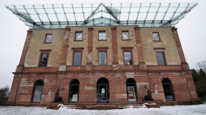 Nordmanntannen aus zertifiziertem Stadtwald: Selbst schlagen am 13. Dezember Nordmanntannen aus zertifiziertem Stadtwald: Selbst schlagen am 13. Dezember