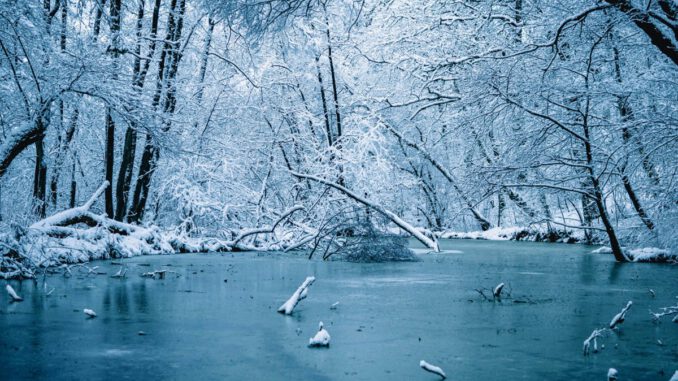 Wiesbaden warnt vor dünnem Eis, Schiersteiner Hafen besonders gefährdet